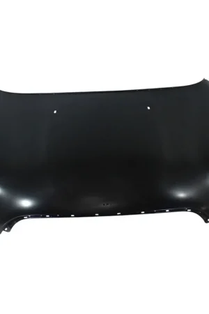 Worldwide Shipping Hood panel assy 2011 - 2015 MINI COOPER CAPA MC1230104C 41617318364 - CAPA