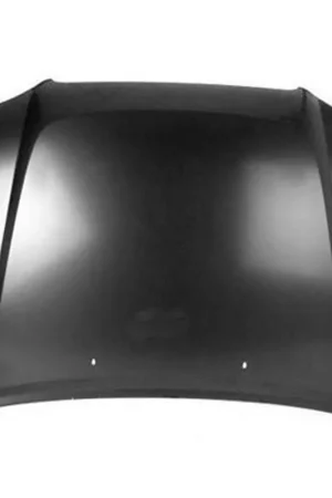 Worldwide Shipping Hood panel assy 1998 - 2004 NISSAN PATHFINDER NI1230158V F51002W6CM - REGULAR