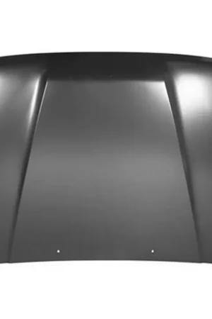 Best Price Hood panel assy 1984 - 1989 TOYOTA 4RUNNER  TO1230114V 5330189119 - REGULAR