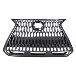 Grille assy 2022 - 2023 LEXUS NX250 LX1200219 53101F6030 - REGULAR Hot Deal
