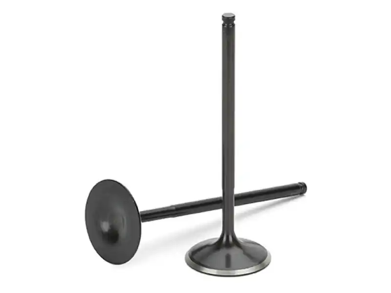Best Seller Supertech BMW M3 S54 Black Nitrided Intake Valve - Set of 12