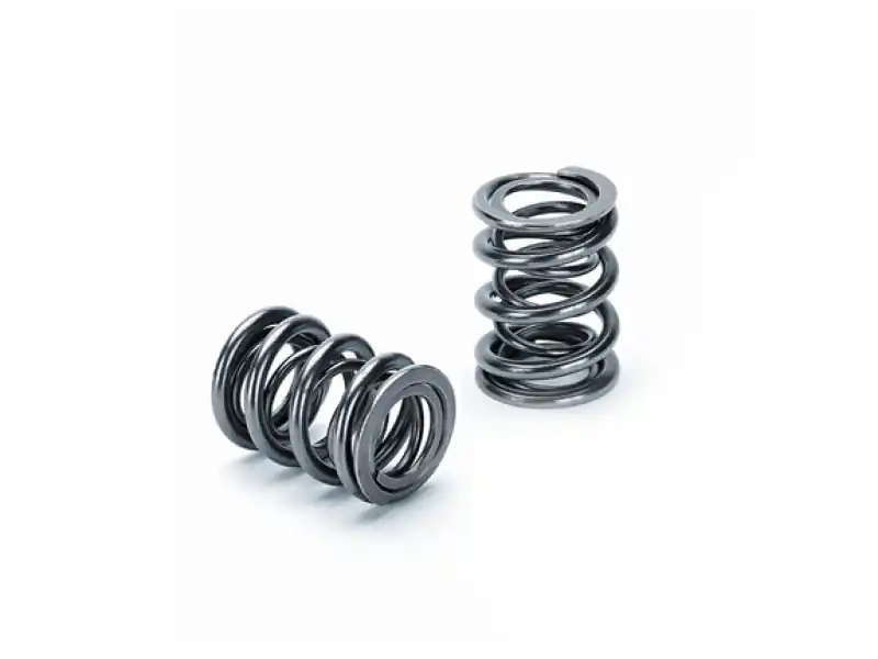 Buy Today Supertech Honda B16A/B17A/B18C Dual Valve Spring - Set of 16