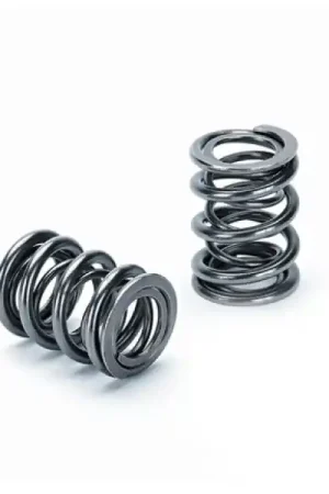Supertech Honda B16A/B17A/B18C Dual Valve Spring - Set of 16 Must Have