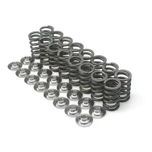 Express Delivery Brian Crower Honda/Acura B18A/B18B/B20B Dual Spring & Titanium Retainer Kit