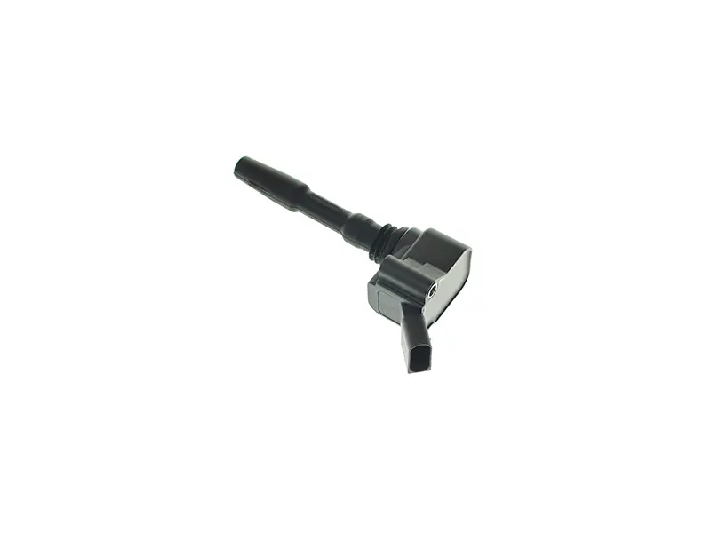 Eldor R1702C00200 Ignition Coil - Audi, Porsche, VW Top Pick